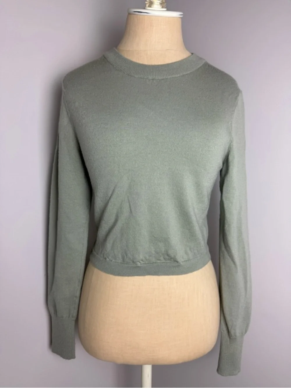 Alice + Olivia Sage Green Wool Blend Crewneck